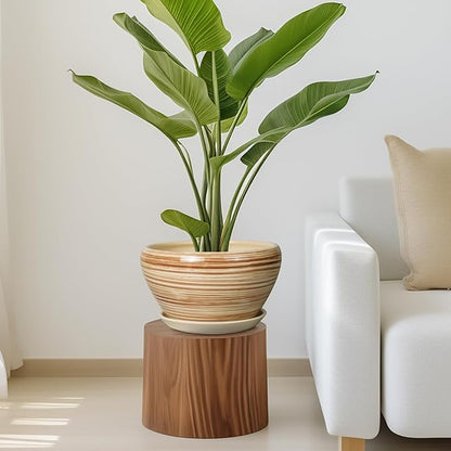 Ceramic Pot for Plants 11 Inch - Planter for Outdoor Plants Indoor Plant Pot with Drainage Hole and Saucer Large Planter Round Flower Pot for House Patio Garden Yellow