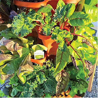Vertical Garden Planter Stackable Tiered System 4 Plants per Pot, Space Saving Herb, Strawberry & Food Crop Planter with Center Support Hole for Indoor Outdoor Gardening (36, Terracotta, Small)