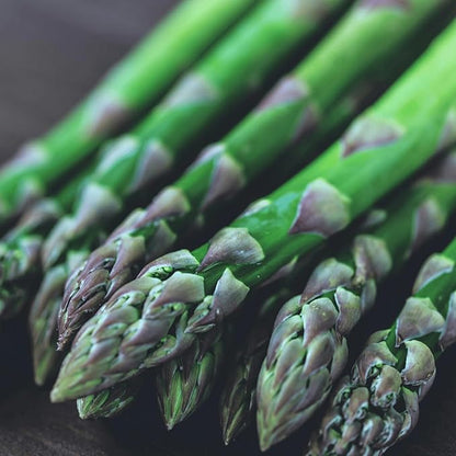 Jersey Knight Asparagus Roots - Hardy and High Yielding, 2yr Bare Root Asparagus Crowns from Hand Picked Nursery (5)