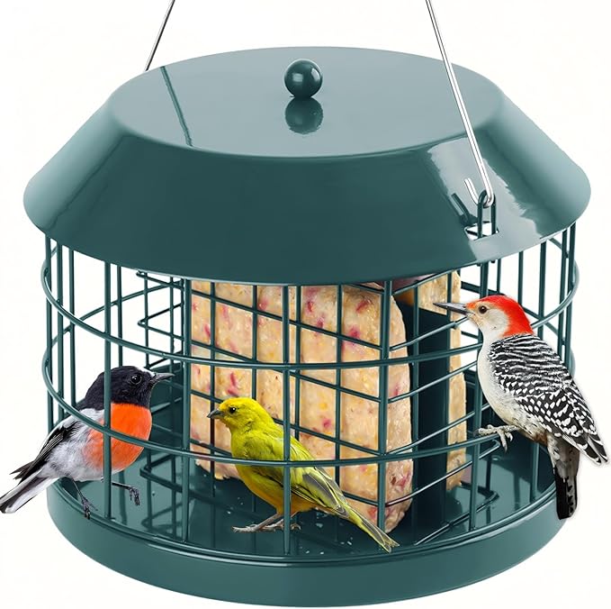 Gbekery Caged Suet Bird Feeder for Outdoors Hanging, Squirrel Proof Double Suet Feeder for Small Birds, Metal Cage with Detachable Hook, Large Space, Outdoors Weatherproof, Green