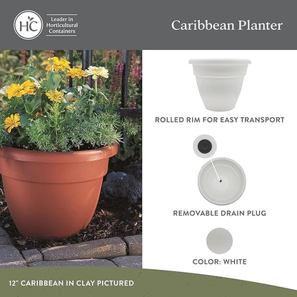The HC Companies 6 Inch Caribbean Planter Pots with Drainage & Plug, Rolled Rim Plastic Planters for Indoor & Outdoor Plants, 4-Pack Decorative Flower Pots for Garden, Office & Home Decor, White