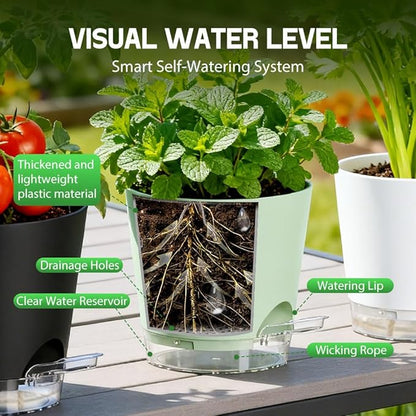 Self Watering Pots for Plants, 2026 New Flower Plant Pots with Drainage Holes, Wicking and Clear Reservoirs for Succulent, Aloe, Cacti and Others - 6 Pack (Colorful, 5")
