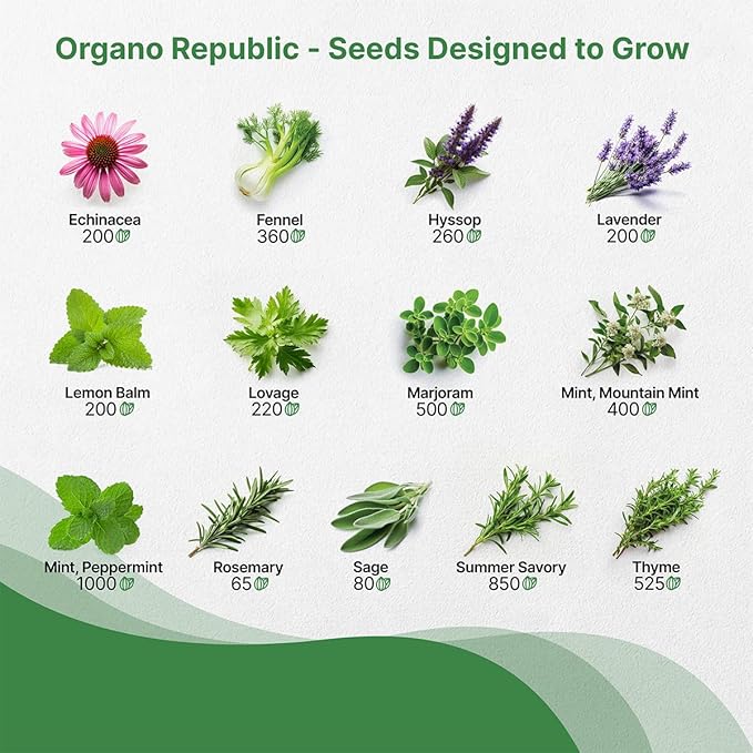 Organo Republic 25 Medicinal & Tea Herb Seeds Variety Pack for Indoor & Outdoors. 10900+ Non-GMO Heirloom Garden Seeds: Anise, Borage, Cilantro, Chamomile, Dandelion, Rosemary, Peppermint Seeds