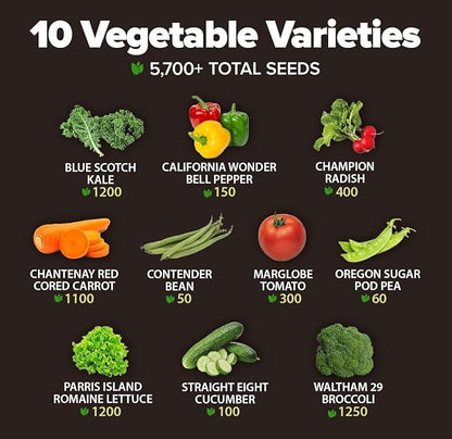 HOME GROWN 10 Variety Survival Seed Vault 5,700+ USA Grown Heirloom Non-GMO Vegetable Seeds for Planting, High Germination, Garden Starter Kit, Emergency Food Supply, Indoor Outdoor