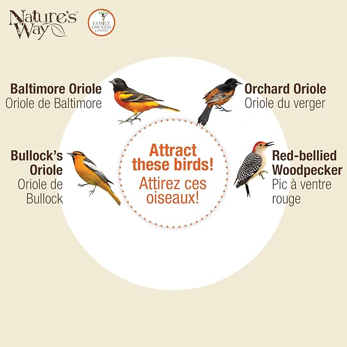 Nature's Way Hanging Glass Oriole Feeder for Outdoor Décor, 30 Ounce Capacity Nectar Feeder, Jelly Dishes, Orange Fruit Holders, 4 Eash to Clean Flexible Ports, Ant Moat, Bee Guards, Orange
