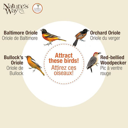Nature's Way Hanging Glass Oriole Feeder for Outdoor Décor, 30 Ounce Capacity Nectar Feeder, Jelly Dishes, Orange Fruit Holders, 4 Eash to Clean Flexible Ports, Ant Moat, Bee Guards, Orange