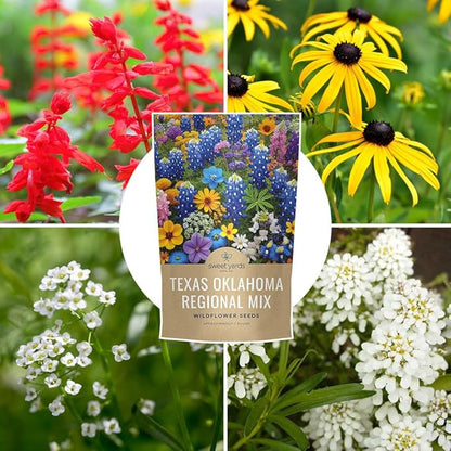 Texas Oklahoma Regional Mix Seeds for Planting - Bulk 1 Pound Bag - Over 240,000 Native Seeds - Open Pollinated and Non GMO
