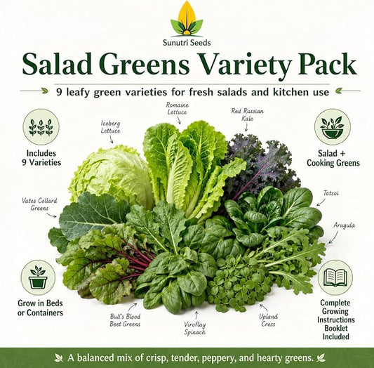 Salad Greens Variety Pack Seeds – 9 Heirloom Leafy Green Vegetable Seeds | Lettuce Kale Spinach Arugula Collards Beet Greens Mustard Cress for Raised Beds Containers Garden