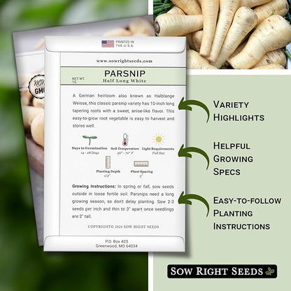 Sow Right Seeds - Half Long White Parsnip Seeds for Planting - Non-GMO Heirloom Packet with Instructions to Plant an Outdoor Home Vegetable Garden - White Flesh Root Parsnip - Spring and Fall (4)