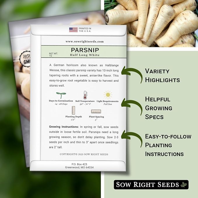 Sow Right Seeds - Half Long White Parsnip Seeds for Planting - Non-GMO Heirloom Packet with Instructions to Plant an Outdoor Home Vegetable Garden - White Flesh Root Parsnip - Spring and Fall (2)