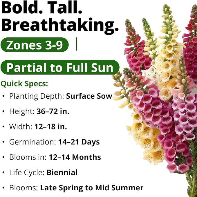 HOME GROWN Foxglove Seeds Mix 8000 (0.8g) Excelsior 2026 Spring for Planting Flower Seeds – Mixed Colors Wildflowers Bulk, Perennial Flower Seeds Packets, Cottage Garden (Digitalis purpurea)