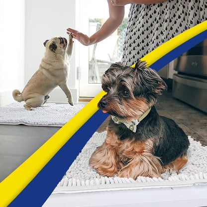 Muddy Mat® | Super Water Absorbent Door Mat Indoor, Microfiber Quick Dry Chenille Entryway Rug, Slip Resistant Front Door Mat, Indoor Mats for Entryway, Machine Washable Pet Rug, White 3ft x 4ft