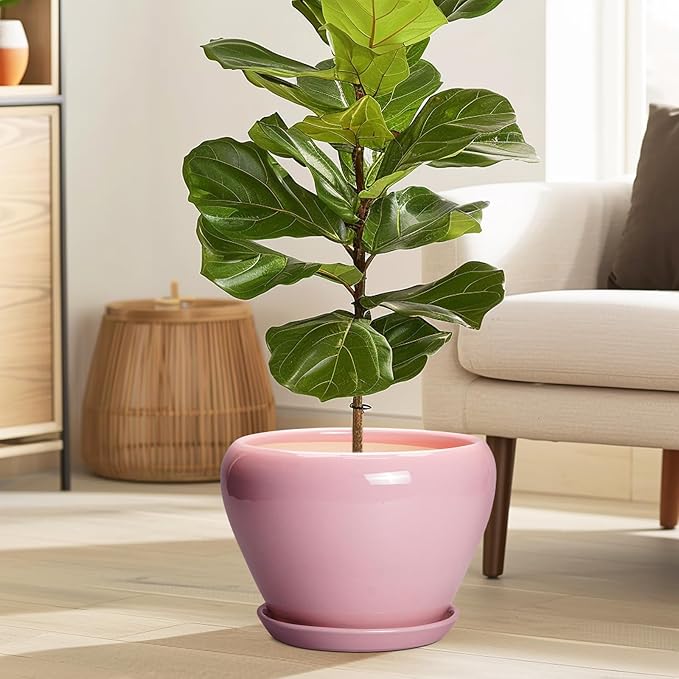 10 Inch Plant Pot - Ceramic Planter for Indoor Plants, Glaze Modern Round Planter with Drainage Hole and Saucer, Gifts for Plant Lovers, Office Patio Home Room Decor, Pink