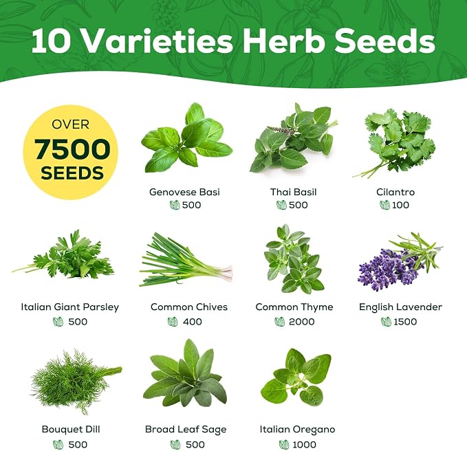 10 Herb Seeds Variety Pack - 7,000+ Heirloom Seeds - Basil, Cilantro, Lavender, Parsley, Dill, Thyme, Chives, Oregano, Sage, Herb Garden Kit for Planting Home Garden, Gardening Gift