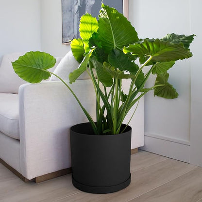Bloem Mathers Round Planter with Saucer Tray: 12" - Black - Modern Design, Durable Plastic Pot, Removable Saucer, for Indoor & Outdoor Use, Gardening, 5.8 Gallon Capacity