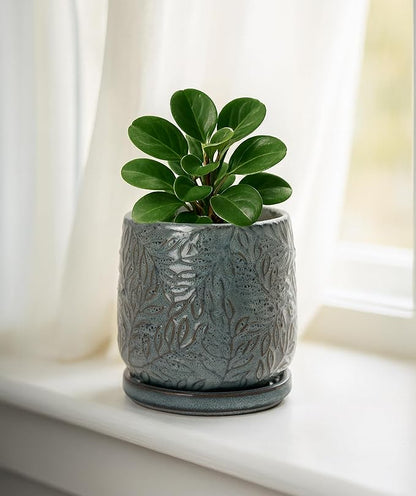 D'vine Dev 4 Inch Embossed Leaves Stoneware Planter Pot with Drainage Hole and Saucer, Graphite Blue, 27-A-Z-9