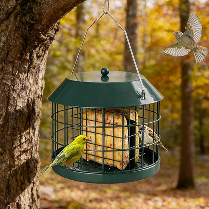 Gbekery Caged Suet Bird Feeder for Outdoors Hanging, Squirrel Proof Double Suet Feeder for Small Birds, Metal Cage with Detachable Hook, Large Space, Outdoors Weatherproof, Green