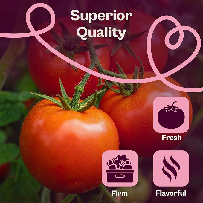 SVI 15 Plus F1 Celebrity Tomato Seeds (Solanum lycopersicum) – Heirloom Tomatoes Seed Packets, Slicing Tomatoes, Tomato Seed – Vegetable Seeds for Outdoor Home Garden Raised Beds, Containers