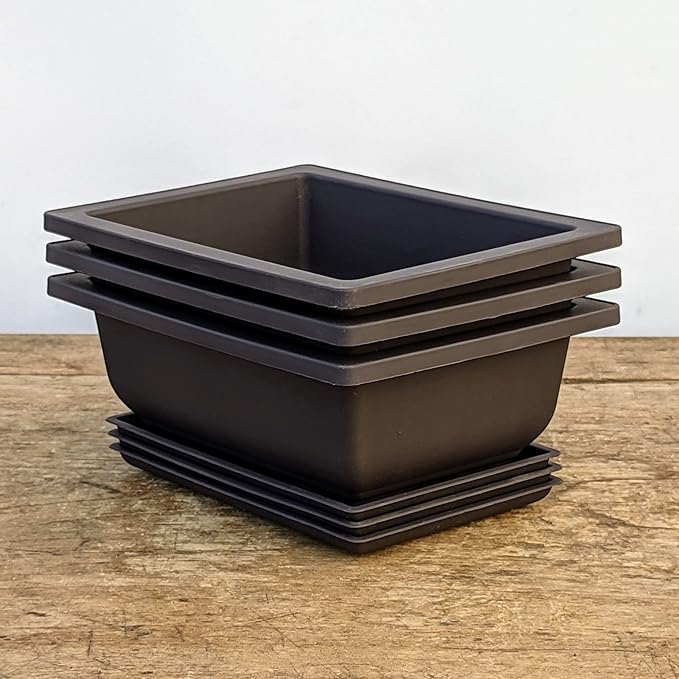 Tinyroots Bonsai Pots with Humidity Trays - Training Planters, Built in Mesh, 6-inch and 8-inch