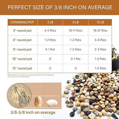 NUPICK 12lb River Rocks for Plants Indoor, 3/8 Inch Mixed Pebbles for Vase Fillers, Decorative Pea Gravel for Fish Tank, Natural Polished Stones for Succulent, Bonsai, Landscaping, Bird Baths