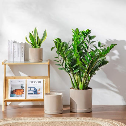 vancasso Ceramic Planters, Plant Pots for Indoor Plants, 6.25+8.25+10.25 Inch Ceramic Pots for Plants, Flower Pots with Drainage Holes (Gray, 6.25+8.25+10.25 Inch)