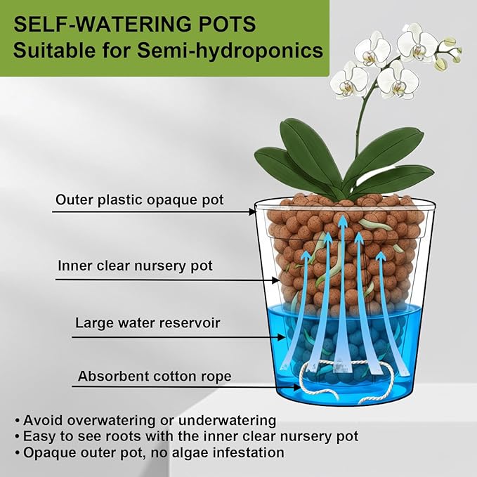 3 Pack of 6in Plastic Cachepot with 6 inch Clear nusery Pot - self Watering Indoor Planter with Drainage for Root Visibility,semi Hydro pots for repotting Orchids,Aroid or Monstera,Black