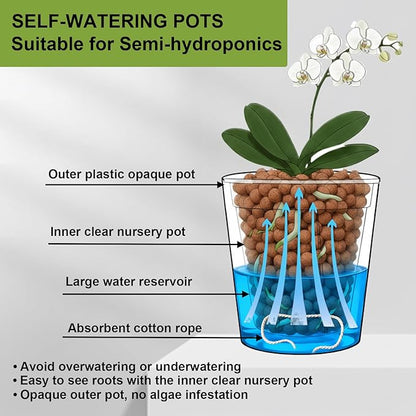 3 Pack of 6in Plastic Cachepot with 6 inch Clear nusery Pot - self Watering Indoor Planter with Drainage for Root Visibility,semi Hydro pots for repotting Orchids,Aroid or Monstera,Black