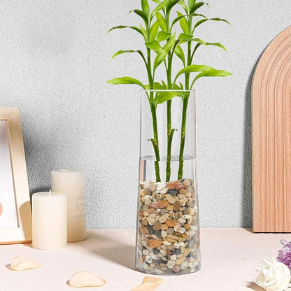 GASPRO 2.5 lb Decorative Pebbles for Plants, 3/8 Inch Mixed Color Rocks, Small Stones for Indoor Planters, Succulents & Vase Filler, Pea Gravel for Aquariums