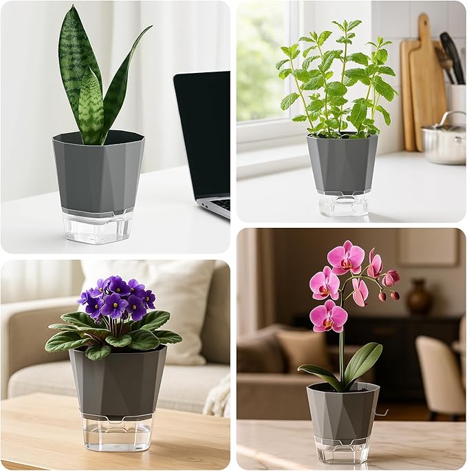 4 Pack Self Watering Pots for Indoor Plants, 10 Inches Self Watering Planters African Violet Pots Clear Pots for Herb Orchid Flower Houseplant, Dark Grey