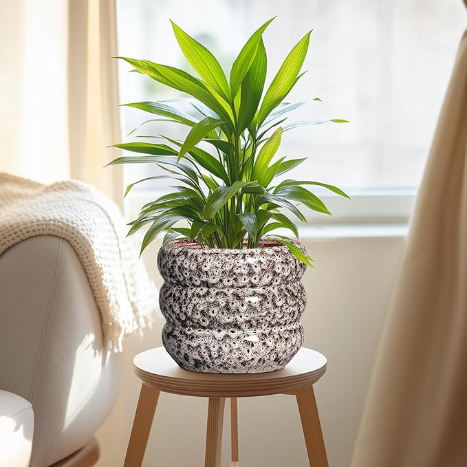 SQOWL Ceramic Plant Pots - 8 Inch Ceramic Planter for Indoor Plants Outdoor, Round Planter with Drainage Hole, Round Decorative Flower Pots, Living Room Office Garden Decor, Gardening Gifts, White