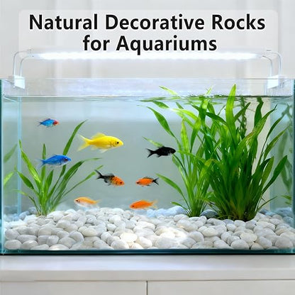 15LB White Rocks, High Polished 1–2 inch Decorative Rocks for Plants, Lava Rocks for Plants, White Pebbles for Indoor Plants, Aquarium & Fish Tank Rocks,Garden Landscaping River Stones