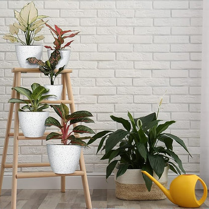 lokeisna 5 Pcs Plant pots, 7.5/6.5/5.7/4.9/4.1 inch Pots for Plants, Flower Pot Indoor Modern Decorative Plant Pot, Plant Pots Indoor with Drainage and Saucer for All House Plants, Spray Spots