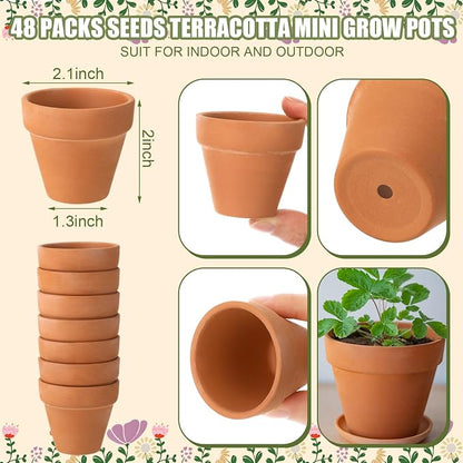 Reallnaive End of Year Teacher Gifts Thank You for Helping Me Grow Envelopes Seed Packets Include 24 Mini Terracotta Pots Seed Packets 24 Self Adhesive Envelopes Thank You Tags Gifts
