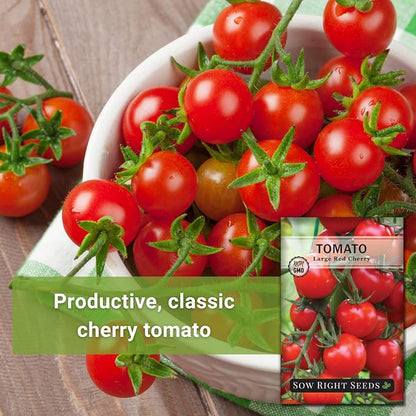 Sow Right Seeds - Large Red Cherry Tomato Seeds for Planting - Non-GMO Heirloom Packet with Instructions to Plant a Home Vegetable Garden - Tasty Snacking Variety, Start Indoors - Indeterminate (3)