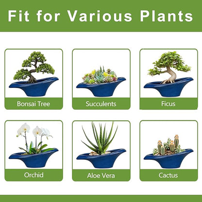 Bonsai Tree Pot 18 Inch - Ceramic Succulent Pots Large Bonsai Planter for Indoor Outdoor Plants Decorative Plant Pot with Drainage Hole Flower Pot for Home Garden Room Decor Blue