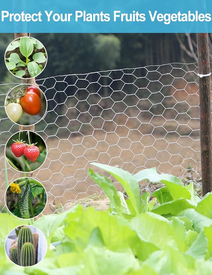 TOYPOPOR Chicken Wire 16'' x 396''(40cm x 10m), Outdoor Anti-Rust Hexagonal Galvanized Chicken Wire Mesh Fencing to Protect Gardening Plants Vegetables Flowers Fruits From Dogs Rabbits Squirrels, 32ft