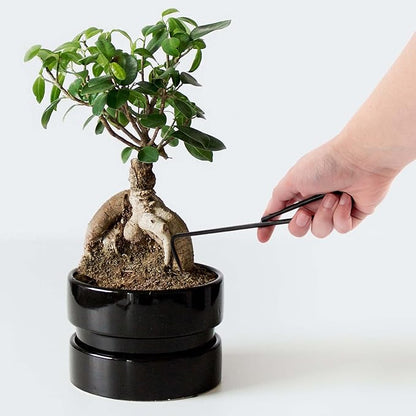 BambooMN Bonsai 2pc Set - 9" Root Pick and 9" Root Rake - 1 Set