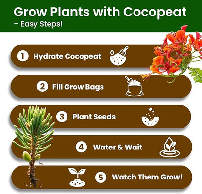 Bonsai Tree Kit for Beginners - 5 Unique Japanese Bonsai Seeds, DIY Indoor Gardening Crafts for Adults | Valentine's, Mother's Day & Birthday Gifts for Women and Men | Complete Starter Kit with Tools