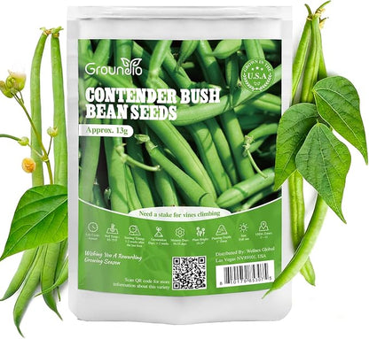 Groundio 30+ Contender Bush Green Bean Seeds, Early-Maturing, Stringless, High-Yield Bush Beans | Non-GMO | Heirloom(Phaseolus Vulgaris)