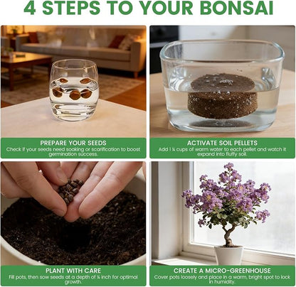 Bonsai Tree Kit for Beginners – 5 Bonsai Starter Kit for Beginner, Indoor for Growing Bonsai Plants with Tools & Planters – DIY Craft Gardening Gifts, White Elephant Gifts for Adults Men Women