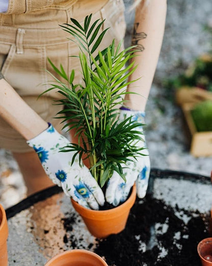 Gardenera's Premium Peace Lily Potting Mix : Hand-Crafted for Optimal Growth and Health - [3-Quart Bag]