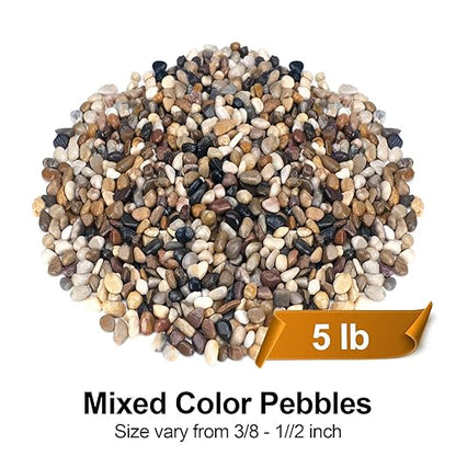 Pulovin 5 lbs Pebbles for Indoor Plants, Succulent, Bamboo, Vase, 3/8" Plant Rocks for Pots Indoor, Small River Rocks Decorative Pea Gravel, Highly Polished