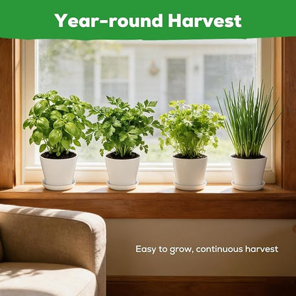 Indoor Herb Garden Starter Kit - Mothers Day Gifts - 4 Non GMO, Heirloom Culinary Herb Seeds, Unique Gardening Gift for Women, Mom, Her, Birthday, Housewarming, Plant Lovers