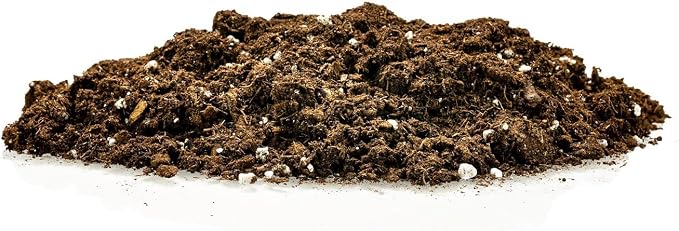 GARDENERA Money Tree Potting Soil Mix for Planting or Repotting Guiana Chestnut, Soil Blended to Properly Grow Money Tree Plants - (1 Quart Bag)