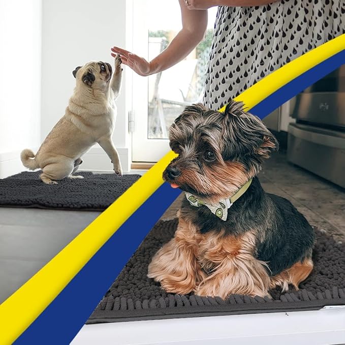 Muddy Mat® | Super Water Absorbent Door Mat Indoor, Microfiber Quick Dry Chenille Entryway Rug, Slip Resistant Front Door Mat, Indoor Mats for Entryway, Machine Washable Pet Rug, Charcoal 16"x24"