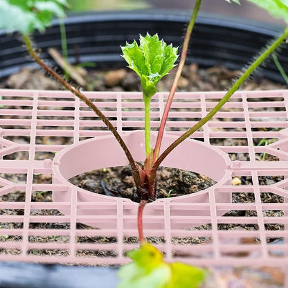 IUIBMI 10 Pack Strawberry Supports Strawberry Holder Strawberry Growing Frame Strawberry Plant Support Strawberry Growing Racks Strawberry Plant Protectors Stand with 4 Sturdy Legs for Garden