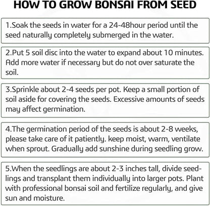 Bonsai Tree Starter Kit - Grow 5 Unique Indoor Japanese Bonsai Seeds, Complete Gardening DIY Set with Pots, Soil, Shears, Unique Gardening Gifts for Men Women
