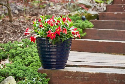 Southern Patio 14" Beehive Resin Indoor Pot Planter, 19.03 qt. Capacity