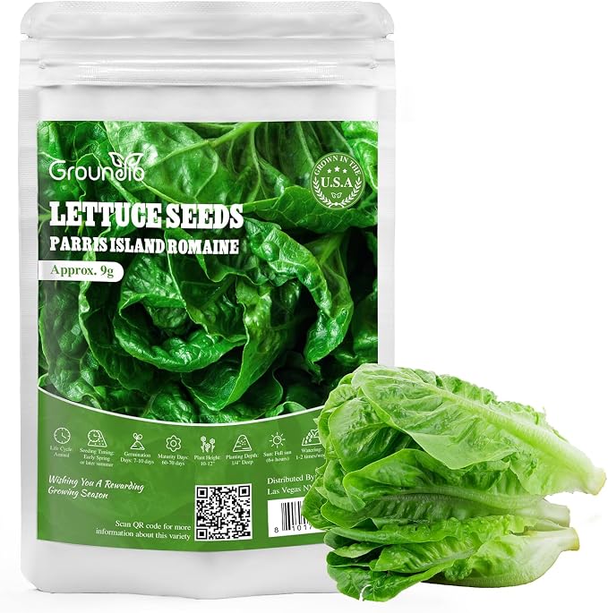 Groundio Romaine Lettuce Seeds Parris Island Vegetable Seeds for Indoor Hydroponic & Outdoor Gardens, Non-GMO 7000 Seeds for Planting, High Germination, Grown in USA(Lactuca Sativa)
