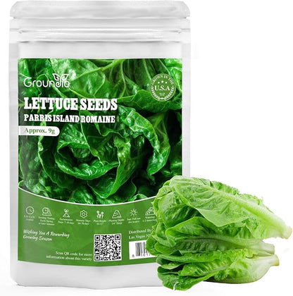 Groundio Romaine Lettuce Seeds Parris Island Vegetable Seeds for Indoor Hydroponic & Outdoor Gardens, Non-GMO 7000 Seeds for Planting, High Germination, Grown in USA(Lactuca Sativa)